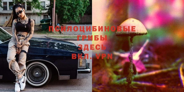 марки lsd Абаза