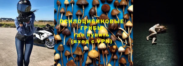 дживик Алексеевка