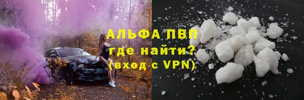 СК Абинск