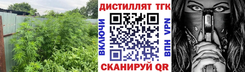Дистиллят ТГК вейп с тгк  купить  цена  Сургут 