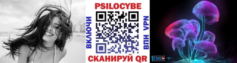 Псилоцибиновые грибы GOLDEN TEACHER  магазин  наркотиков  Сургут 
